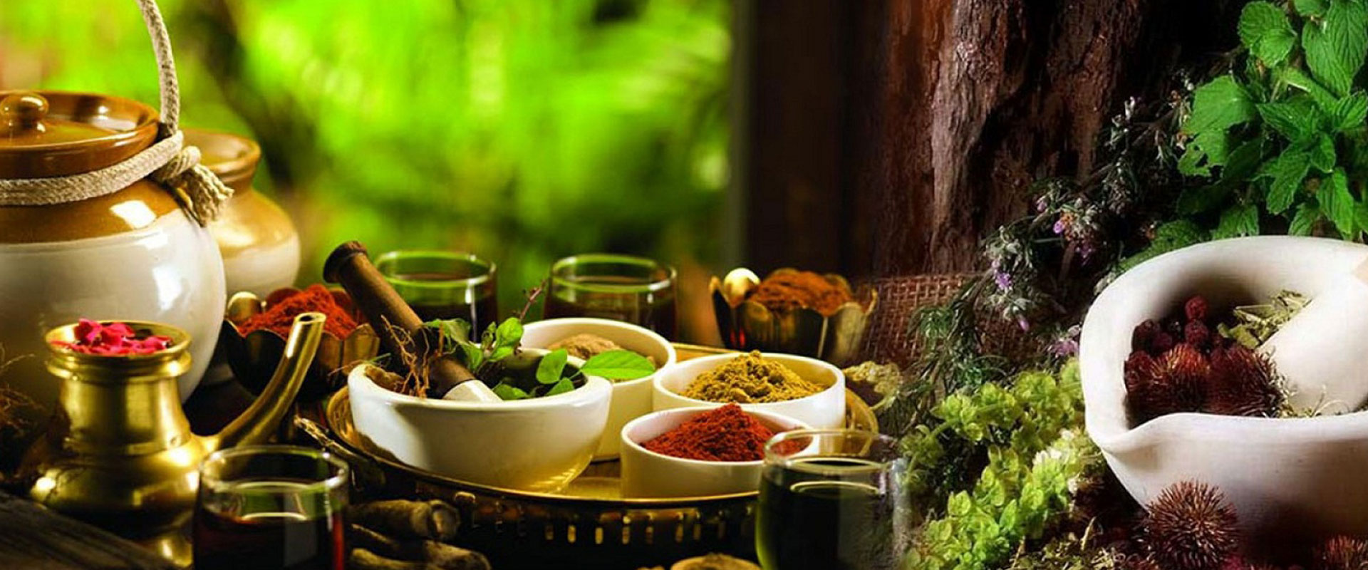 Ayurveda is the oldest surviving holistic medical system in the world.